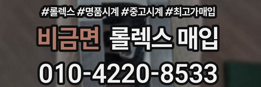 비금면 롤렉스 매입