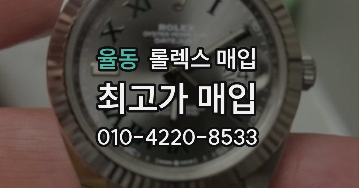 율동 롤렉스 매입