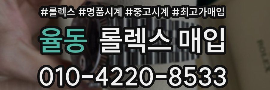 율동 롤렉스 매입