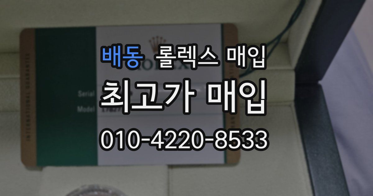 배동 롤렉스 매입