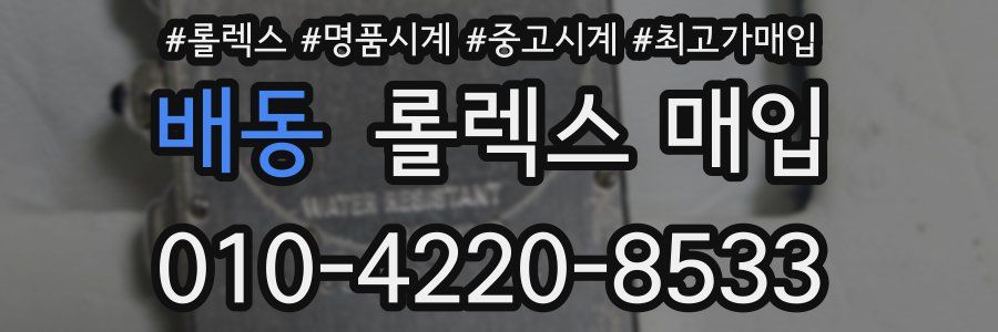 배동 롤렉스 매입