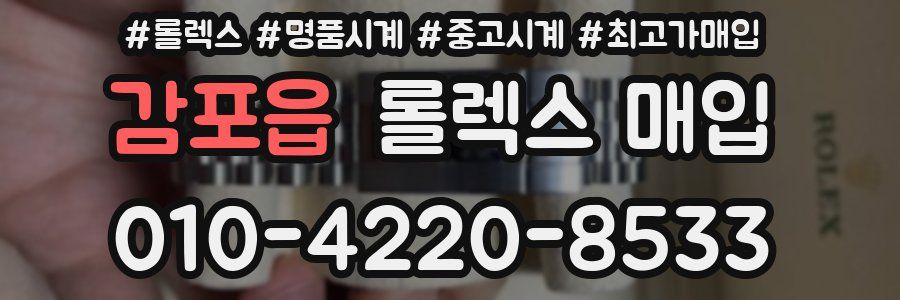 감포읍 롤렉스 매입