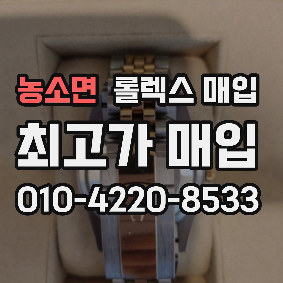 농소면 롤렉스 매입