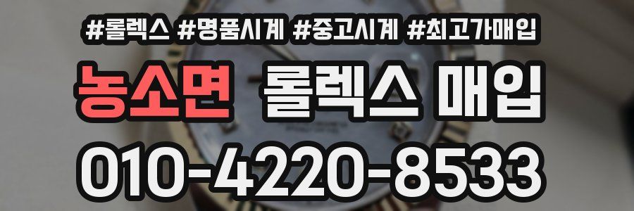 농소면 롤렉스 매입