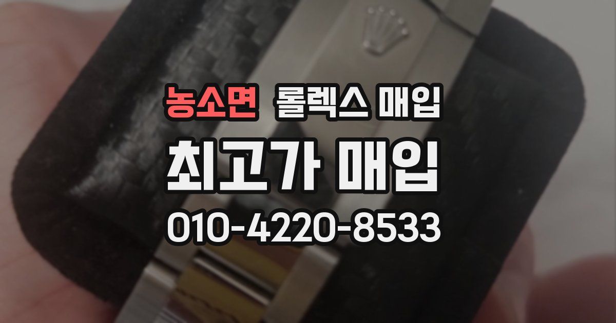 농소면 롤렉스 매입