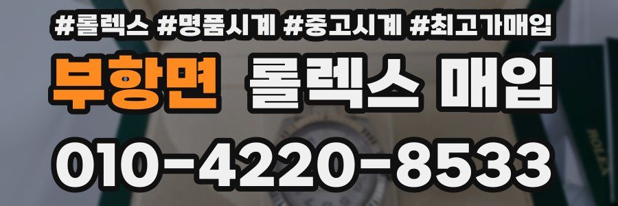 부항면 롤렉스 매입