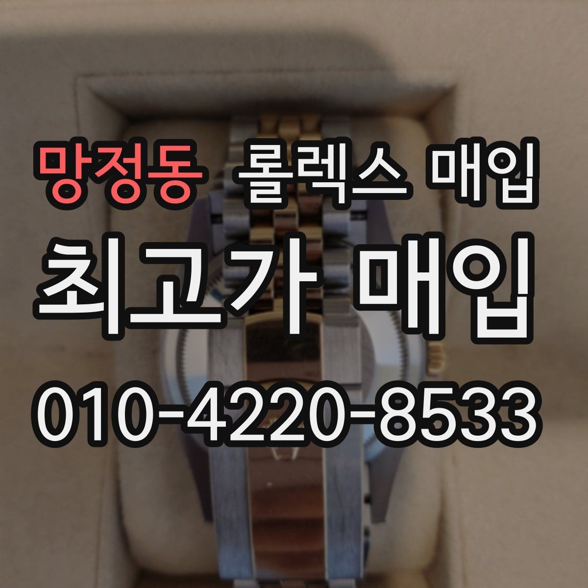 망정동 롤렉스 매입 다이얼 색상에 따라 달라지는 시세