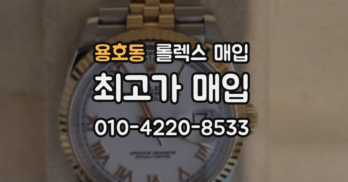 용호동 롤렉스 매입
