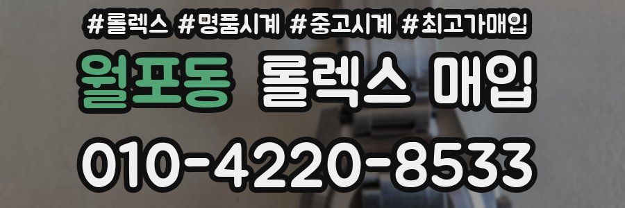 월포동 롤렉스 매입