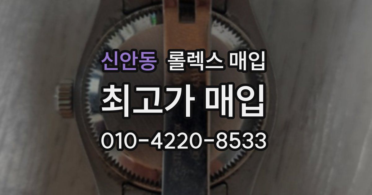 신안동 롤렉스 매입