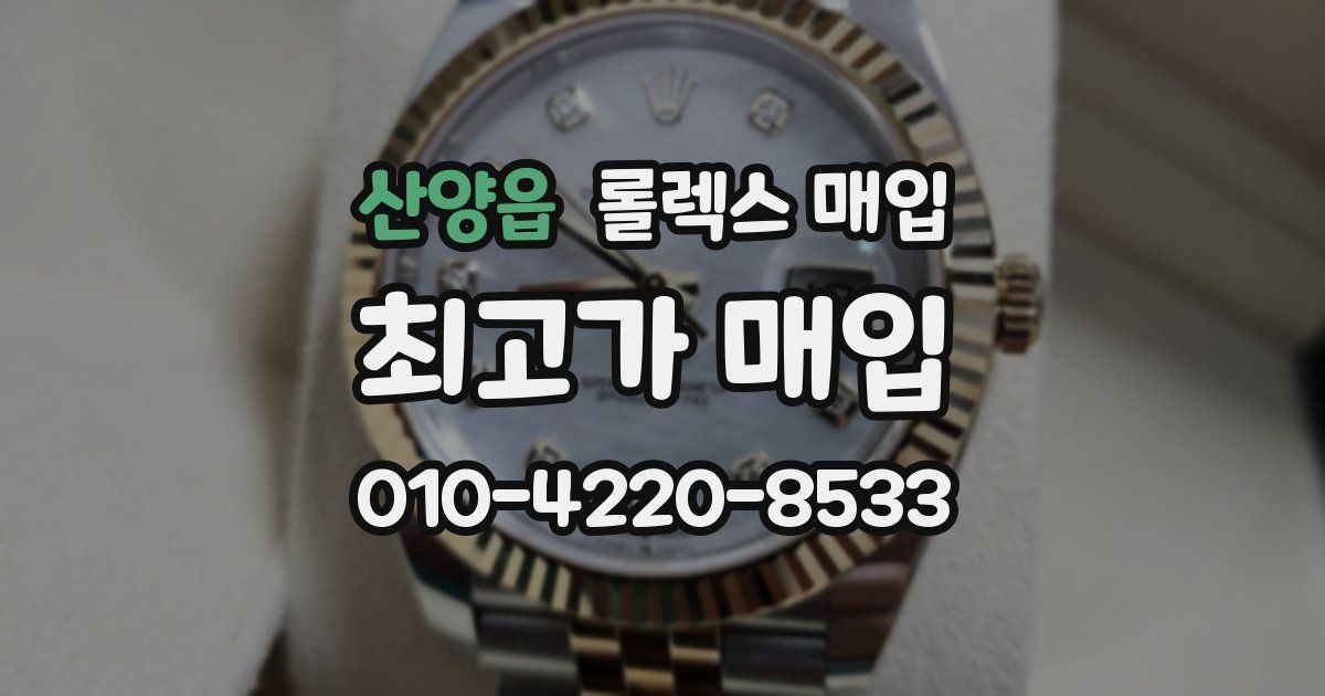 산양읍 롤렉스 매입