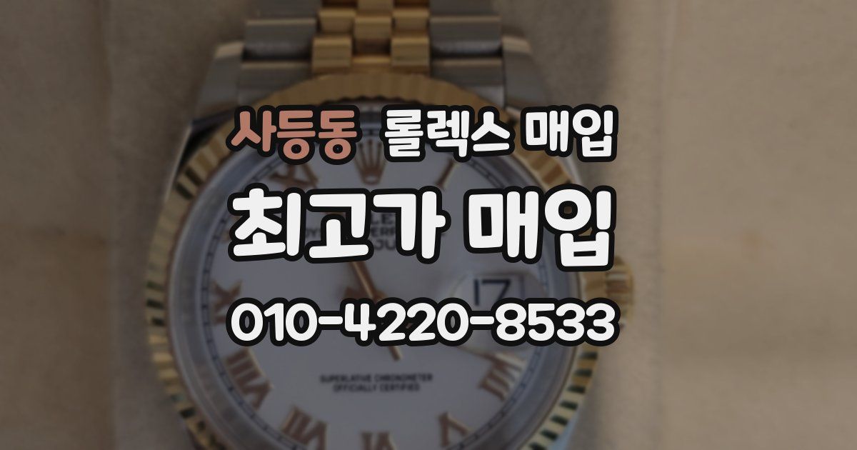 사등동 롤렉스 매입