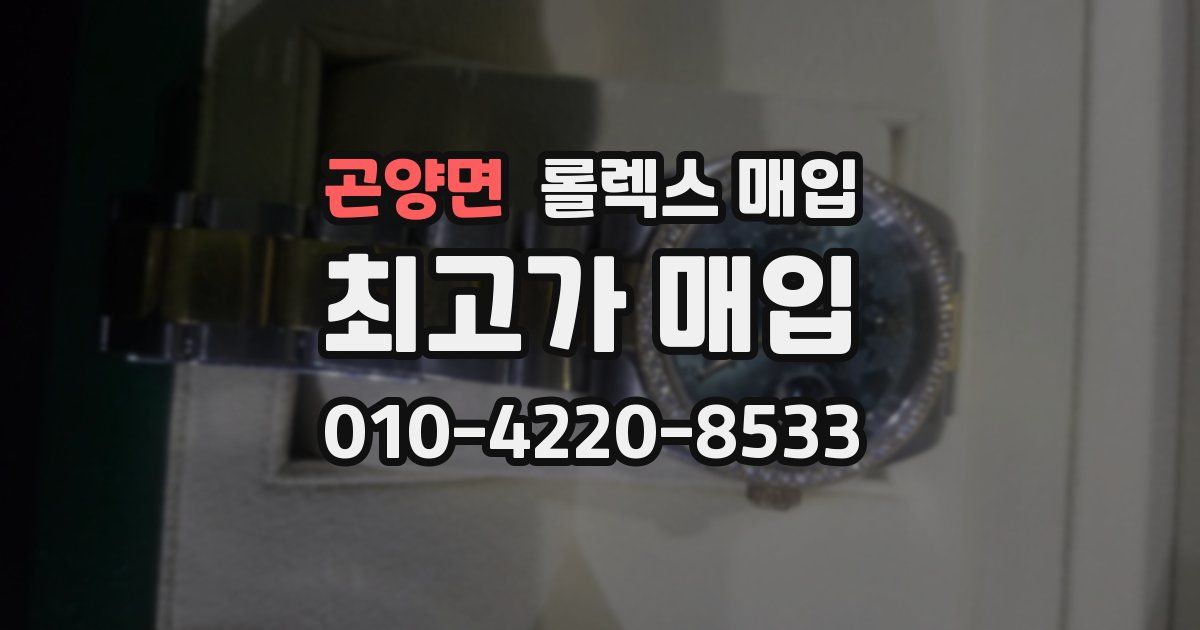 곤양면 롤렉스 매입