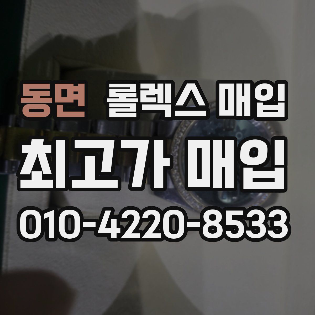 동면 롤렉스 매입