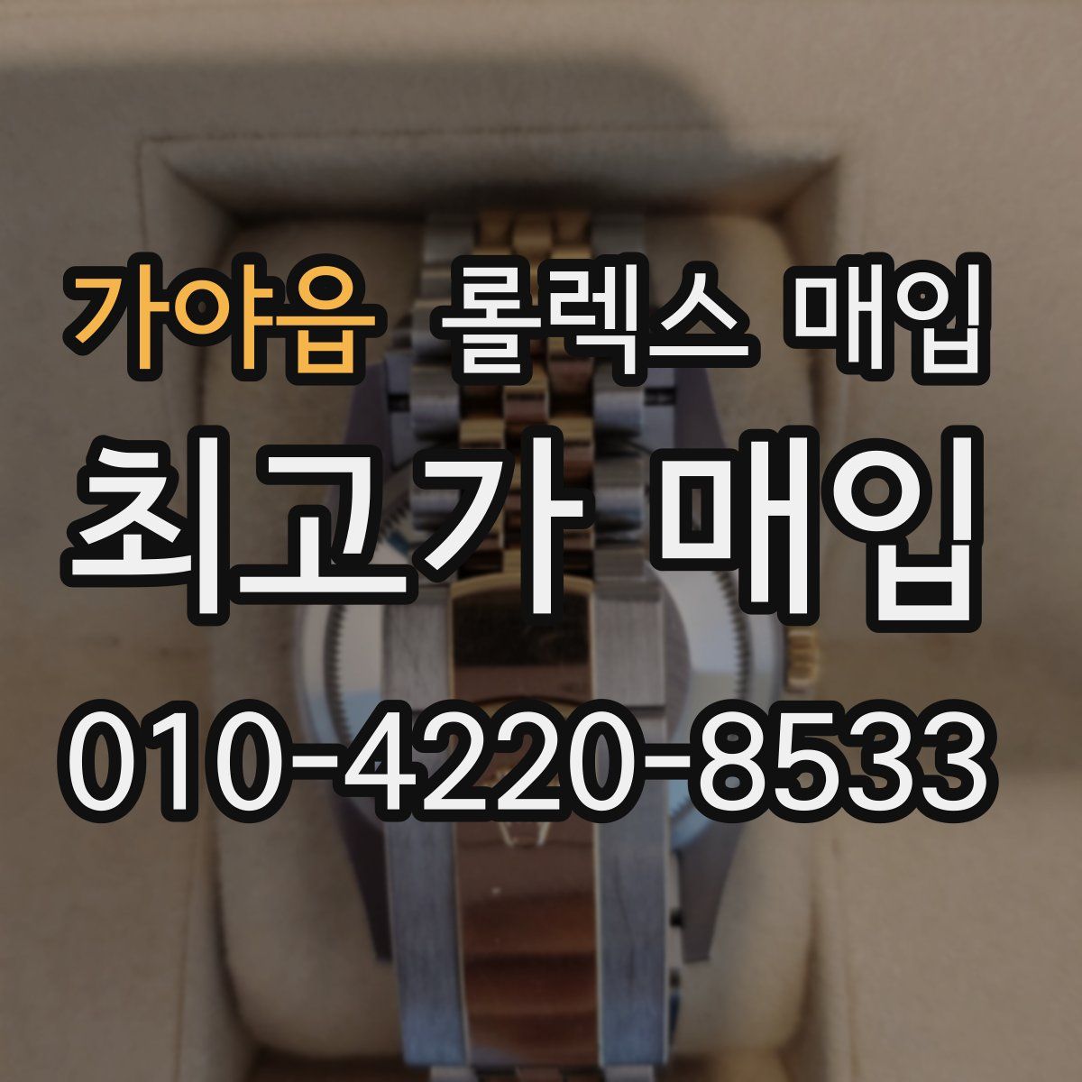 가야읍 롤렉스 매입