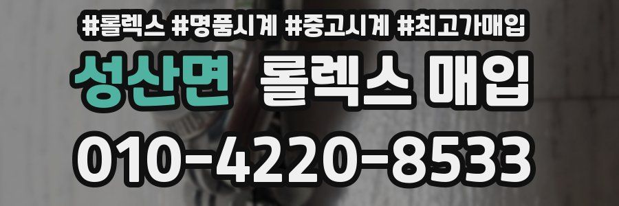 성산면 롤렉스 매입