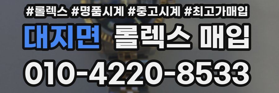 대지면 롤렉스 매입