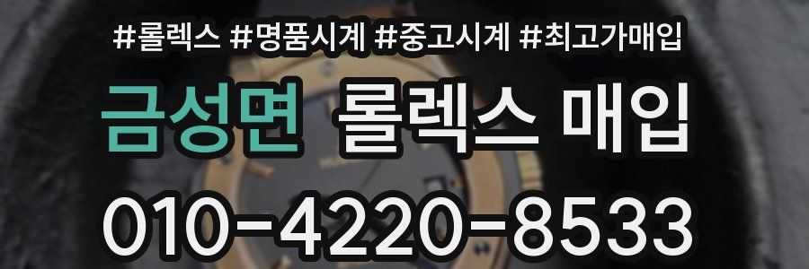 금성면 롤렉스 매입