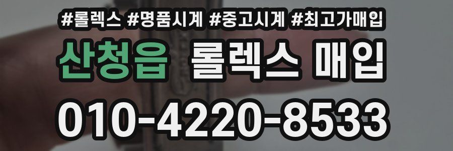 산청읍 롤렉스 매입