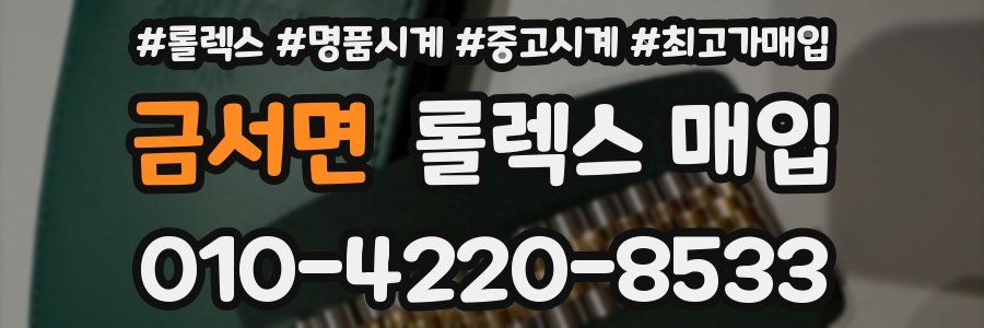 금서면 롤렉스 매입
