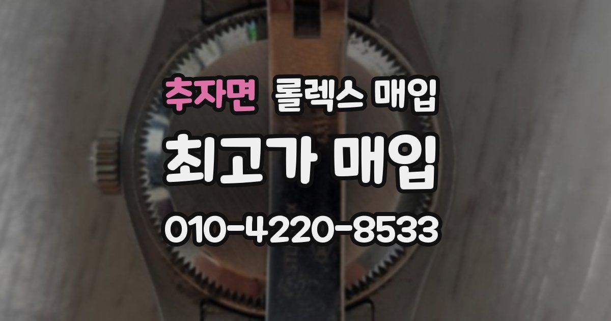 추자면 롤렉스 매입