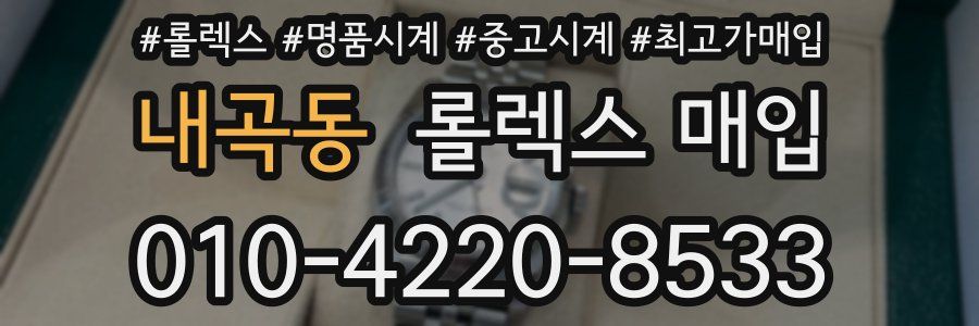 내곡동 롤렉스 매입