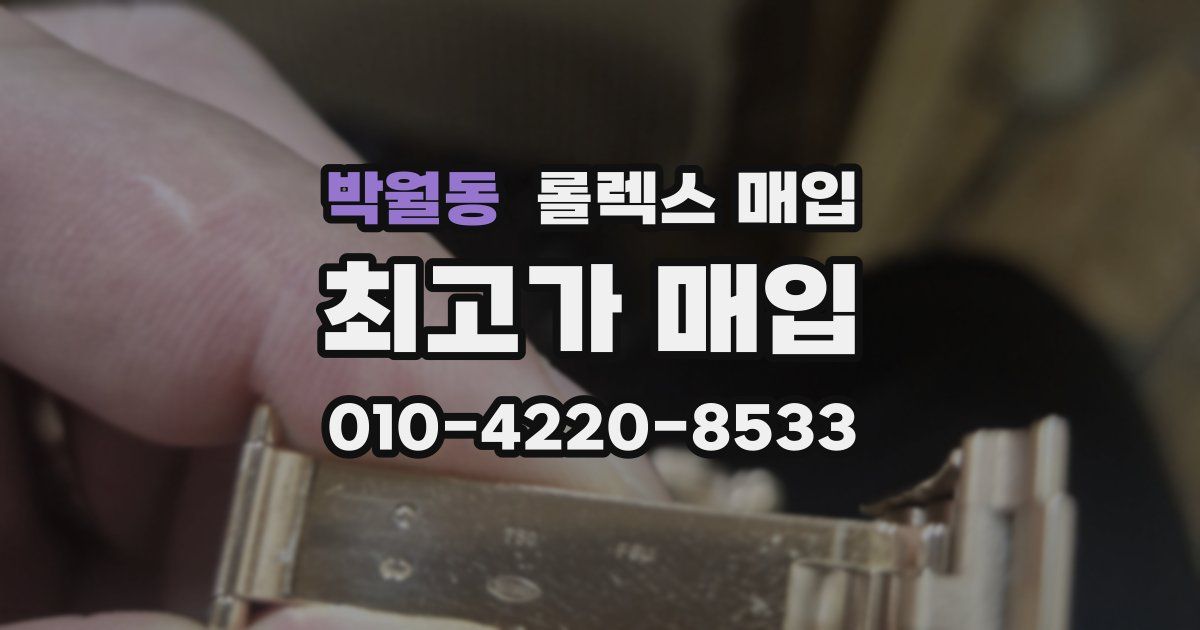 박월동 롤렉스 매입