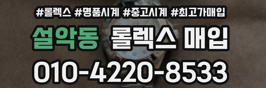 설악동 롤렉스 매입