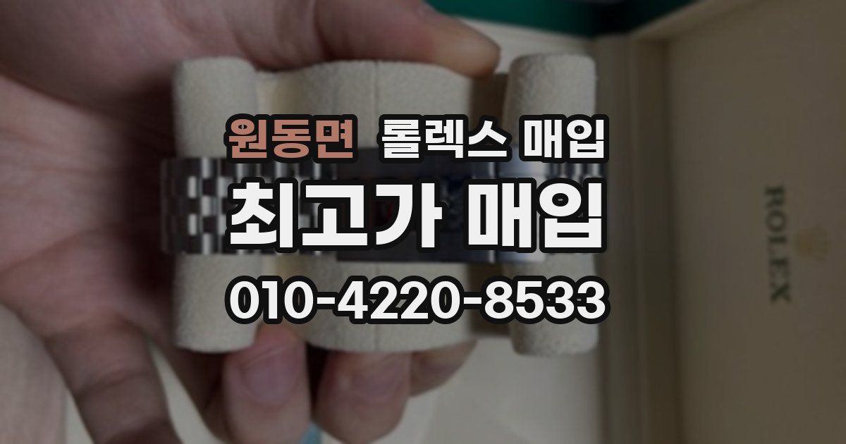 원동면 롤렉스 매입