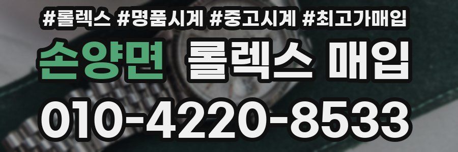 손양면 롤렉스 매입