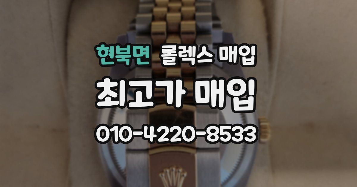 현북면 롤렉스 매입