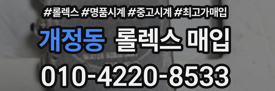 개정동 롤렉스 매입