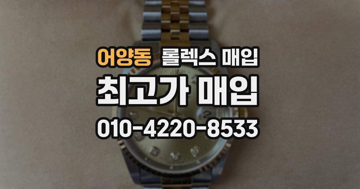 어양동 롤렉스 매입