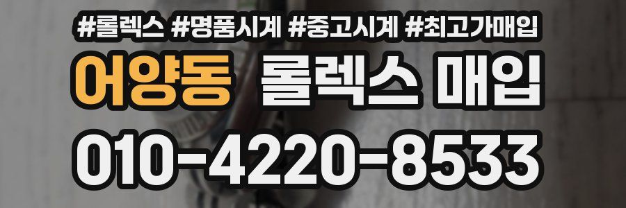 어양동 롤렉스 매입