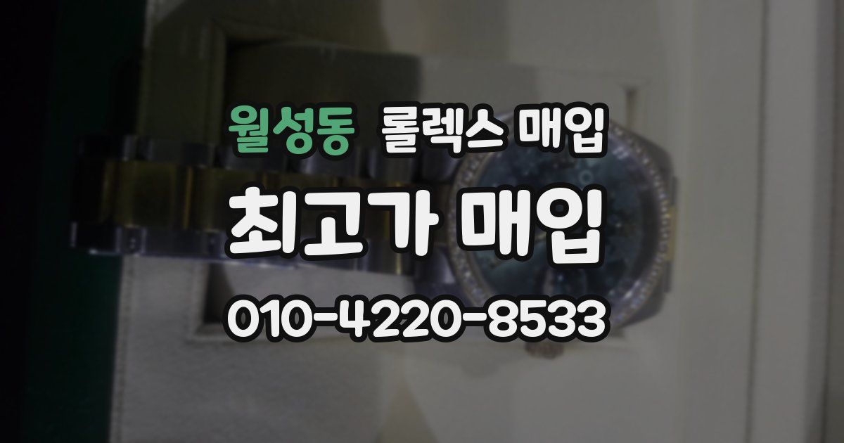 월성동 롤렉스 매입