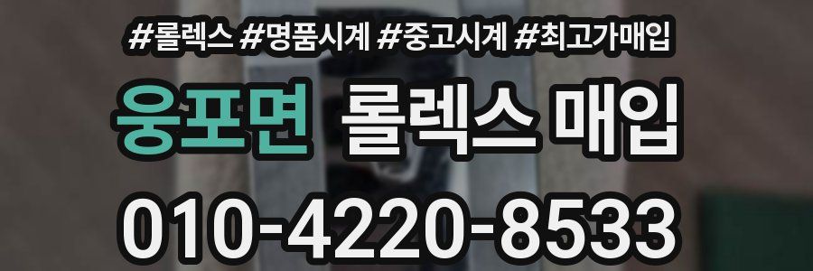 웅포면 롤렉스 매입