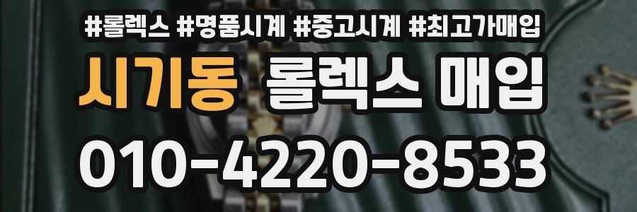 시기동 롤렉스 매입