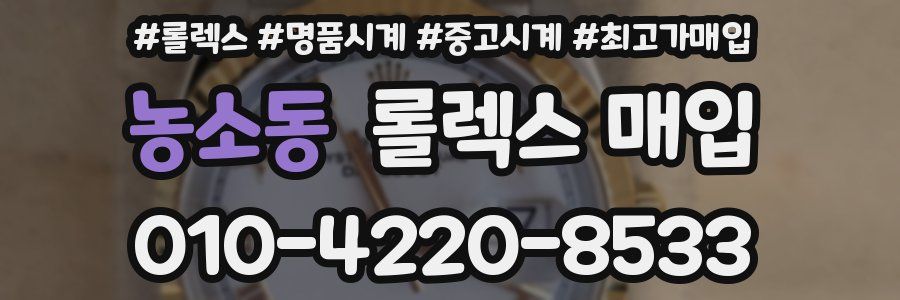 농소동 롤렉스 매입