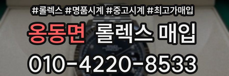 옹동면 롤렉스 매입