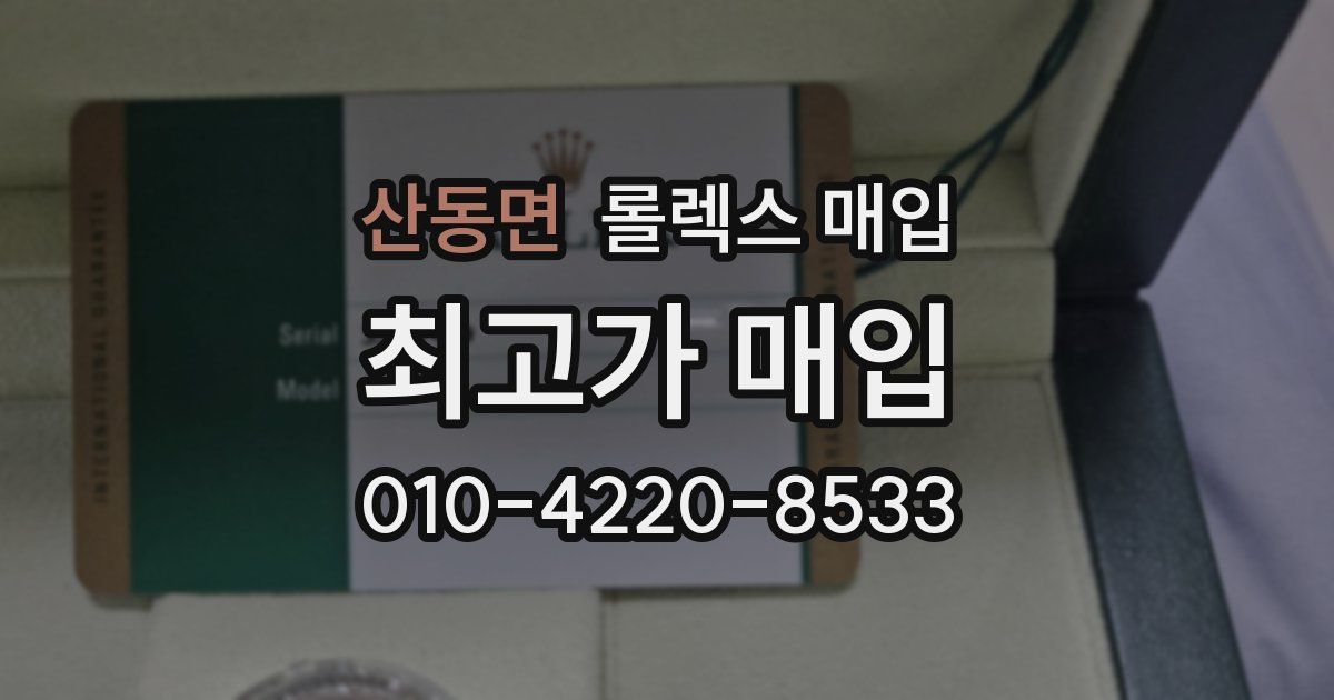 산동면 롤렉스 매입