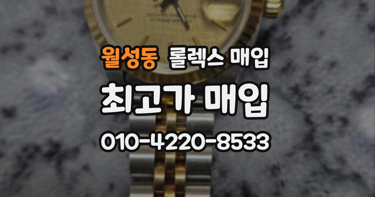 월성동 롤렉스 매입
