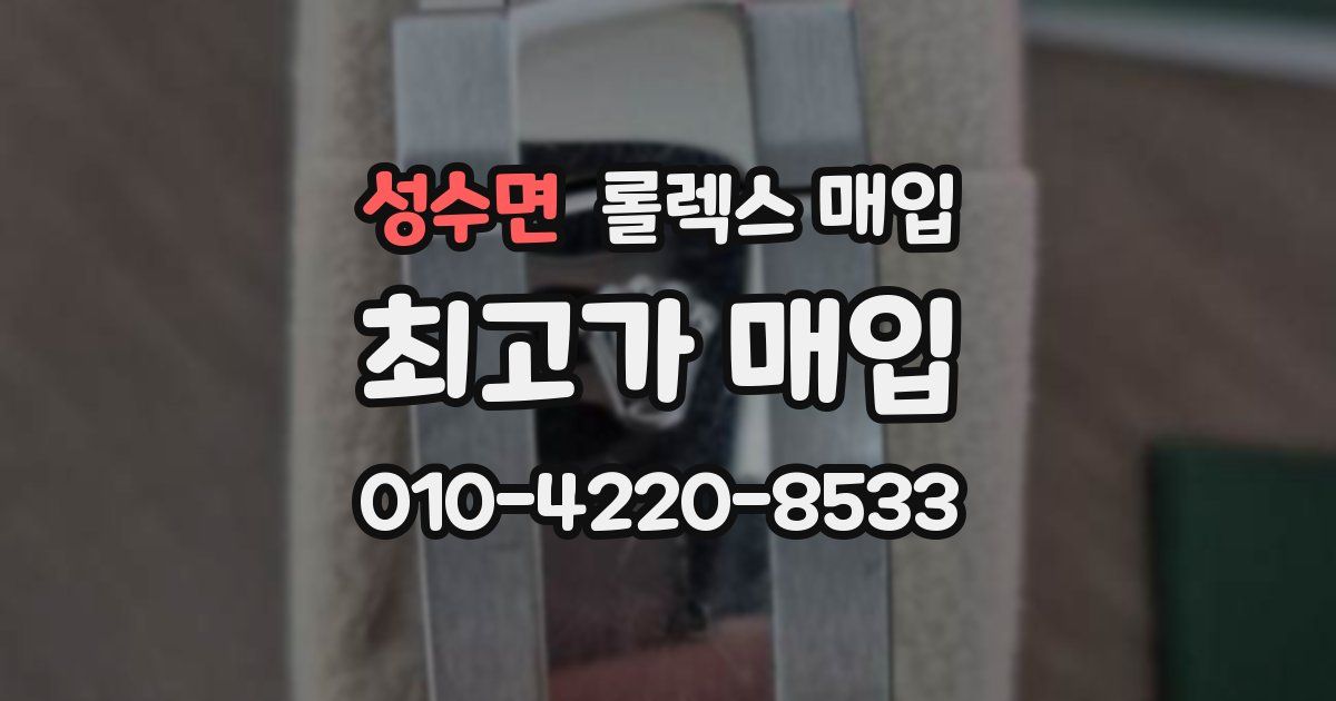 성수면 롤렉스 매입