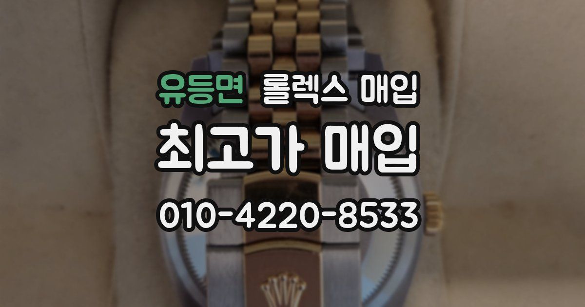 유등면 롤렉스 매입