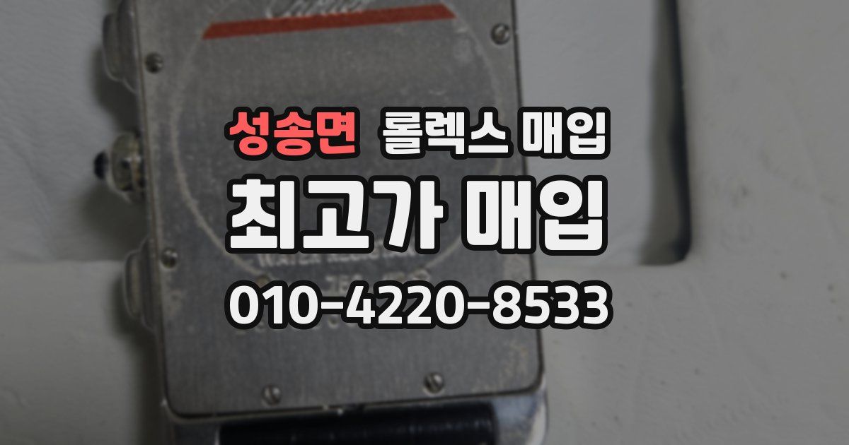 성송면 롤렉스 매입