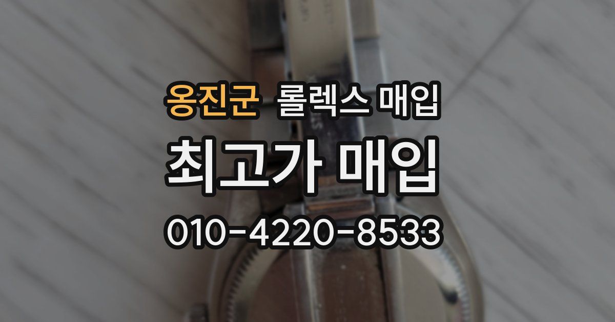 옹진군 롤렉스 매입
