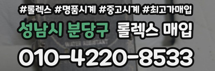 성남시 분당구 롤렉스 매입
