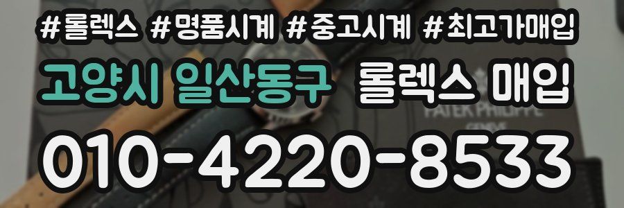 고양시 일산동구 롤렉스 매입