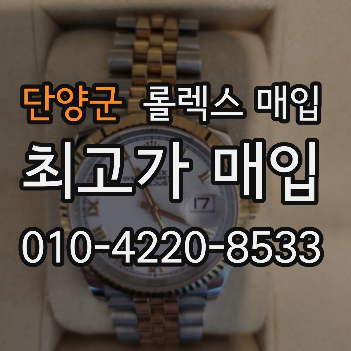 단양군 롤렉스 매입 플래티넘 모델 시세 확인 방법