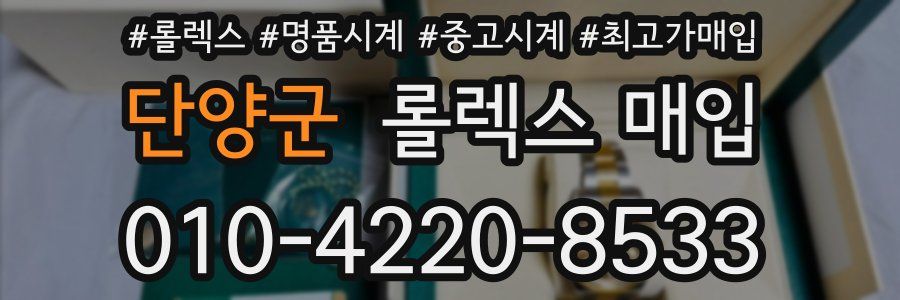 단양군 롤렉스 매입