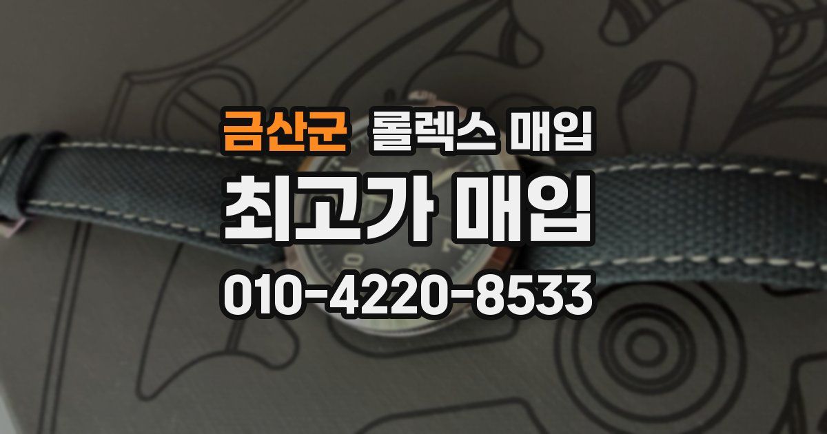 금산군 롤렉스 매입